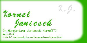 kornel janicsek business card